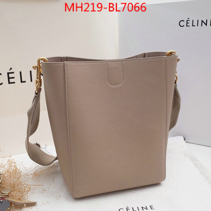 CELINE Bags(TOP)-Diagonal,highest quality replica ,ID: BL7066,$: 219USD