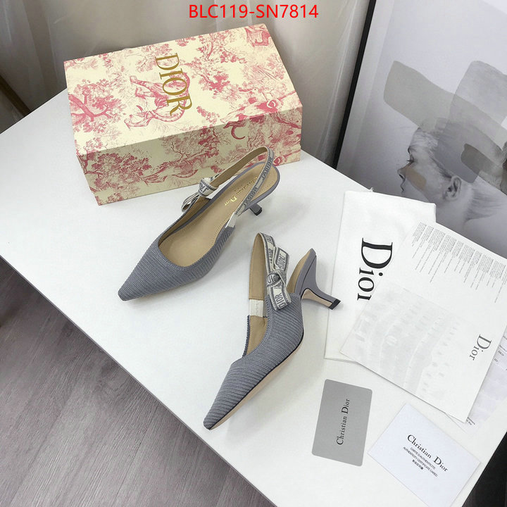 Women Shoes-Dior,how to find replica shop , ID: SN7814,$: 119USD