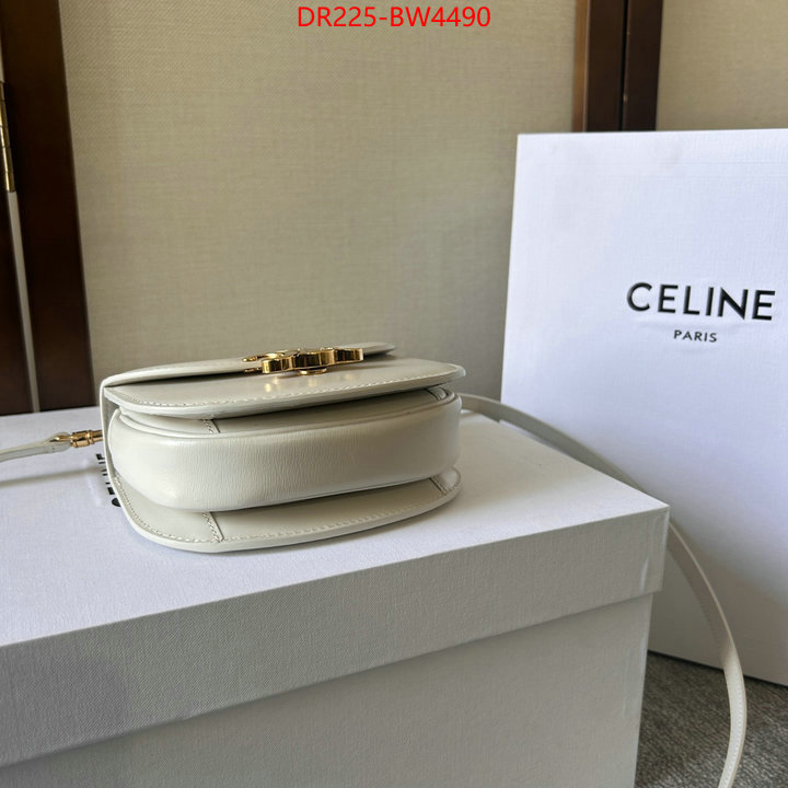 CELINE Bags(TOP)-Triomphe Series,replica designer ,ID: BW4490,$: 225USD