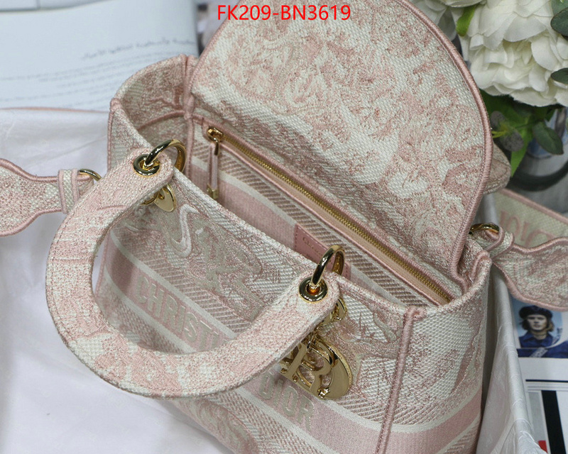 Dior Bags(TOP)-Lady-,ID: BN3619,$: 209USD