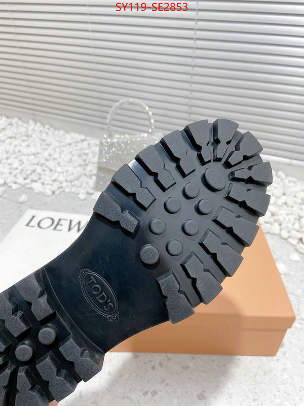 Women Shoes-Tods,top fake designer ,high quality replica designer , ID: SE2853,$: 119USD