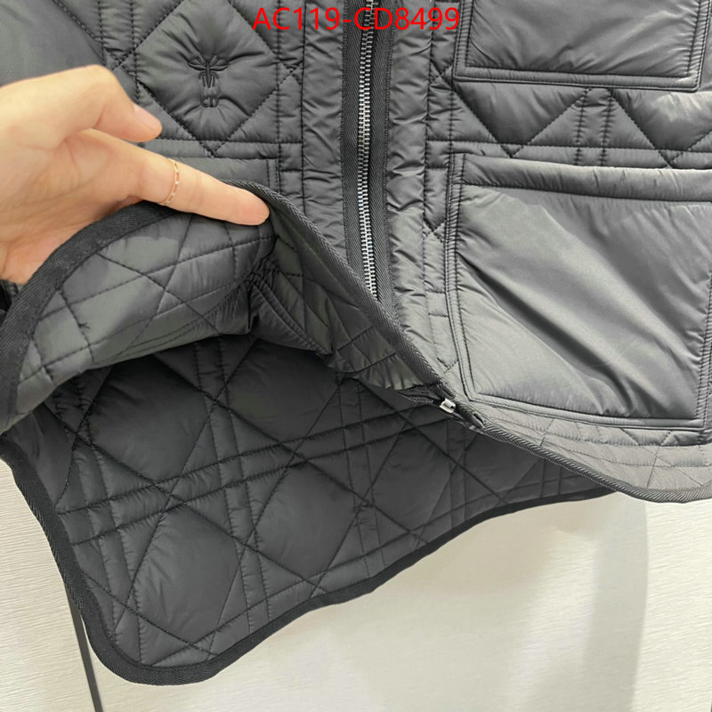 Down jacket Women-Dior,china sale , ID: CD8499,$: 119USD