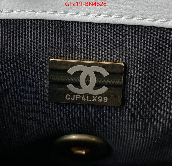 Chanel Bags(TOP)-Diagonal-,ID: BN4828,$: 219USD