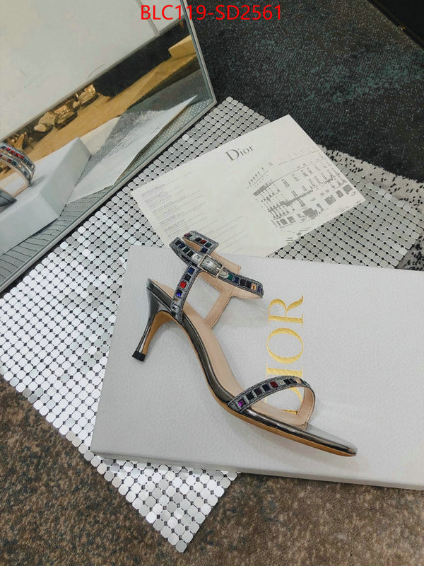 Women Shoes-Dior,sell online luxury designer , ID: SD2561,$: 119USD