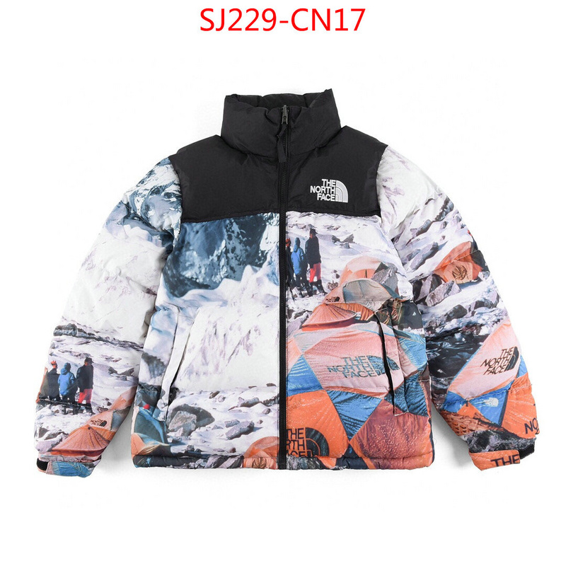 Down jacket Women-The North Face,the highest quality fake , ID: CN17,$: 229USD