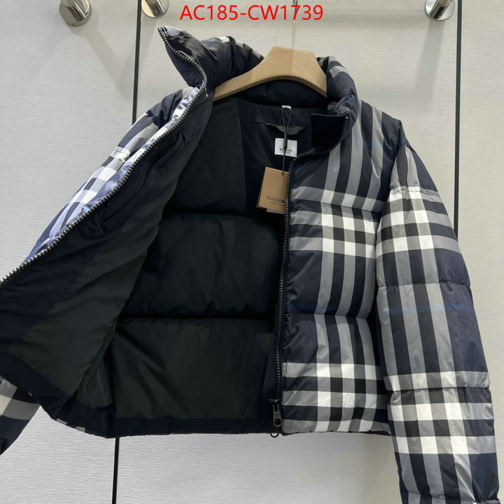 Down jacket Women-Burberry,2023 luxury replicas , ID: CW1739,$: 185USD