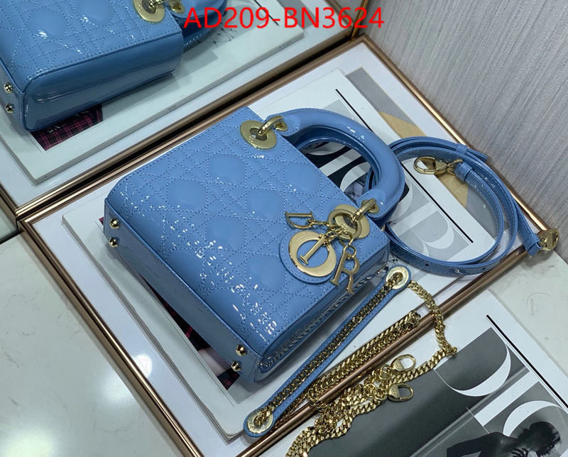 Dior Bags(TOP)-Lady-,ID: BN3624,$: 209USD