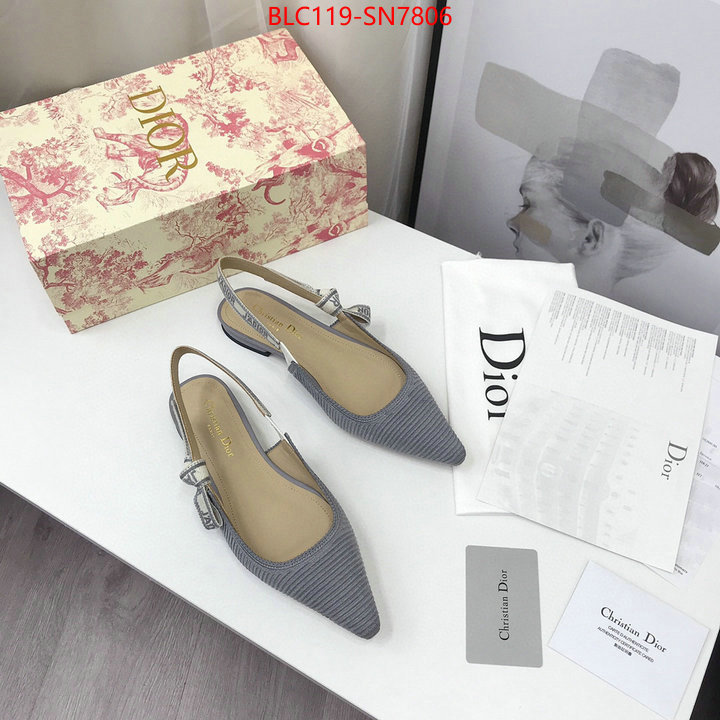 Women Shoes-Dior,how to find replica shop , ID: SN7806,$: 119USD