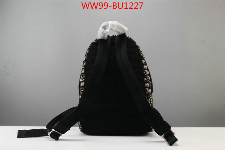 Dior Bags(4A)-Backpack-,ID: BU1227,$: 99USD