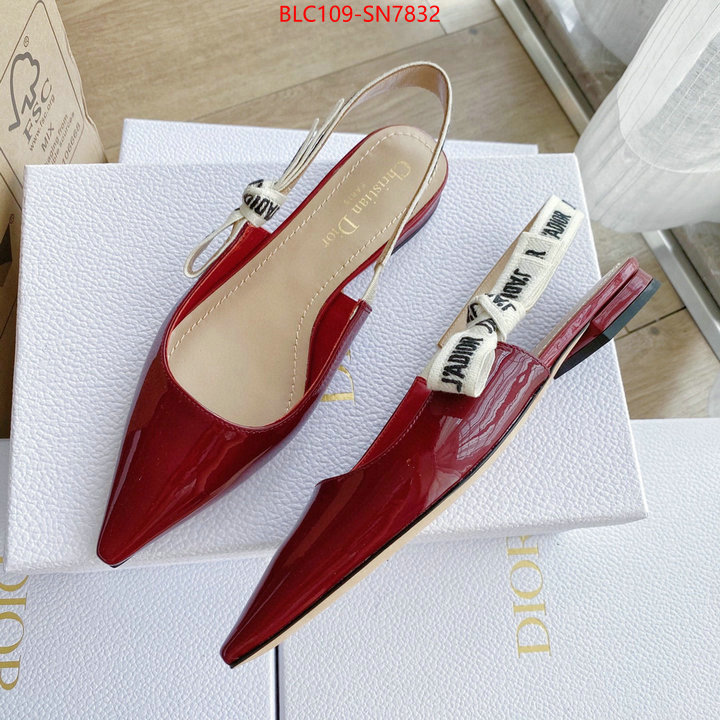 Women Shoes-Dior,2023 replica , ID: SN7832,$: 109USD