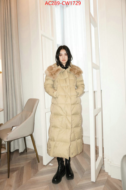 Down jacket Women-Burberry,website to buy replica , ID: CW1729,$: 289USD