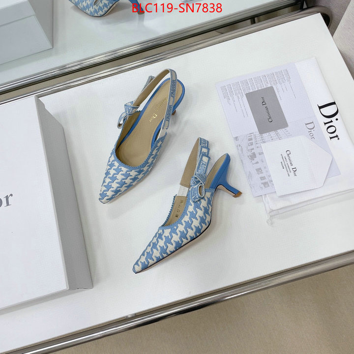 Women Shoes-Dior,can i buy replica , ID: SN7838,$: 119USD