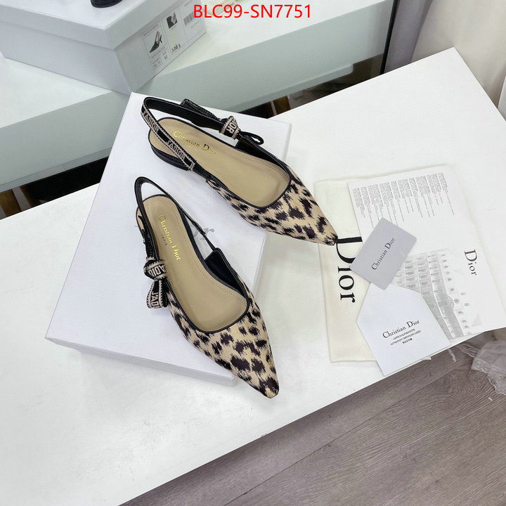 Women Shoes-Dior,the best quality replica , ID: SN7751,$: 99USD