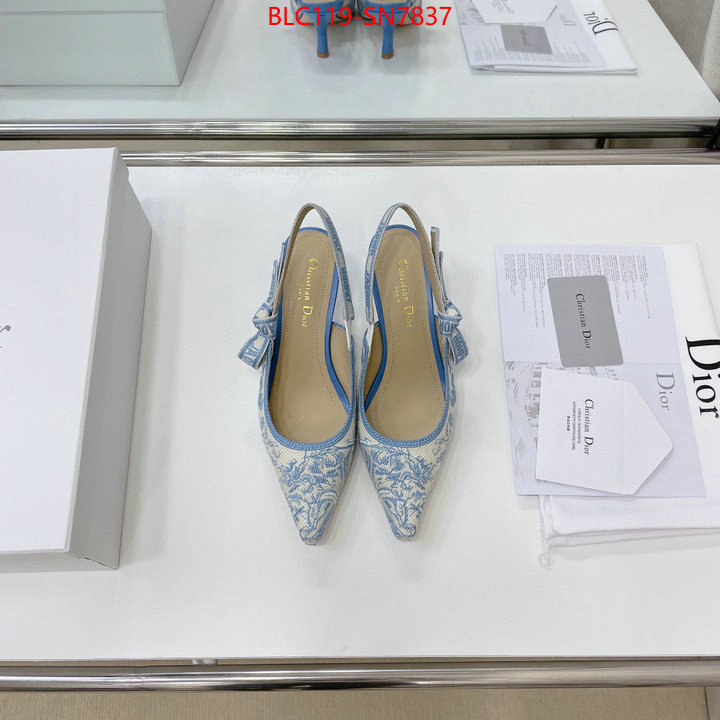 Women Shoes-Dior,replicas , ID: SN7837,$: 119USD