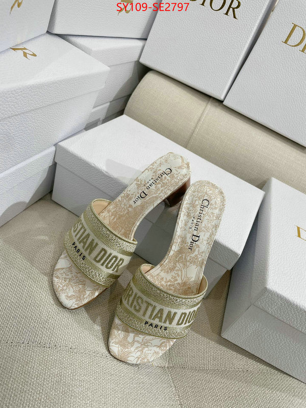 Women Shoes-Dior,shop the best high authentic quality replica , ID: SE2797,$: 109USD