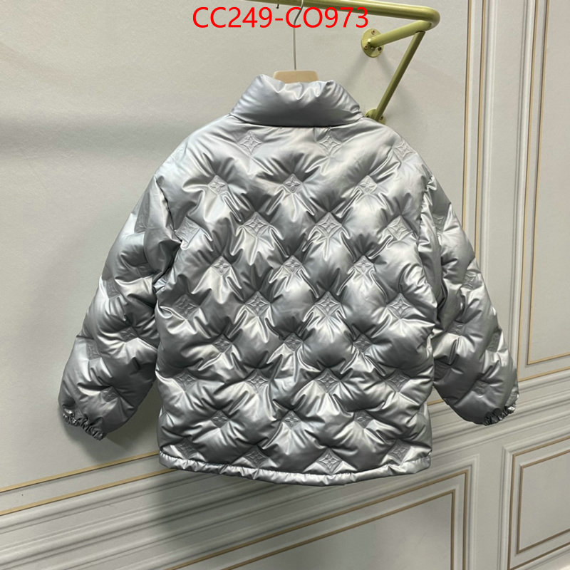 Down jacket Women-LV,what is top quality replica , ID: CO973,$: 249USD