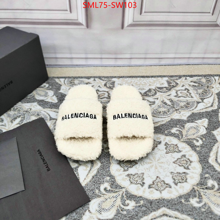 Men Shoes-Balenciaga,where can you buy a replica , ID: SW103,$: 75USD