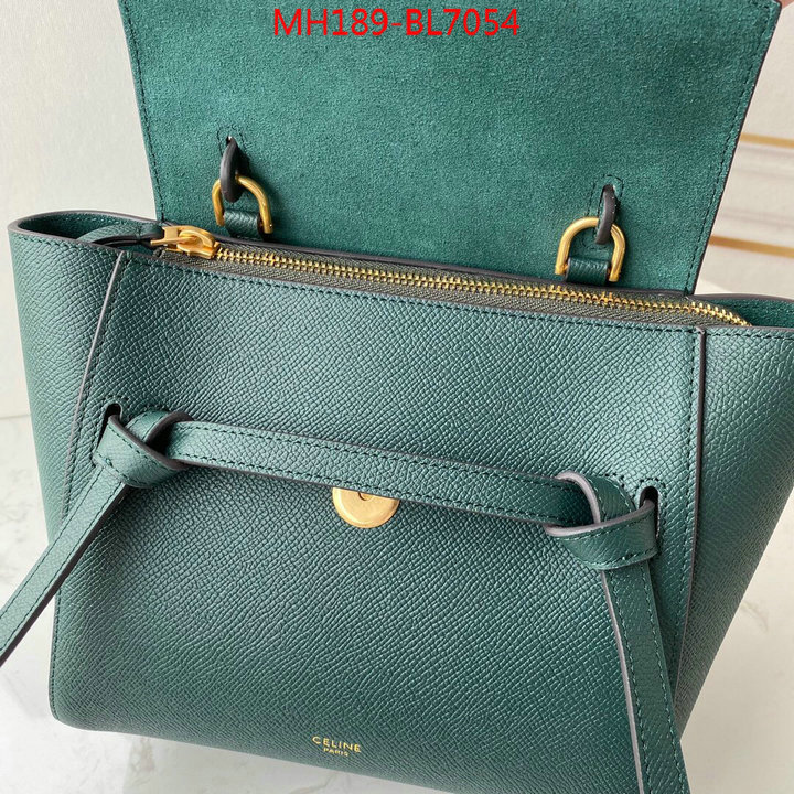 CELINE Bags(TOP)-Belt Bag,wholesale ,ID: BL7054,$: 189USD