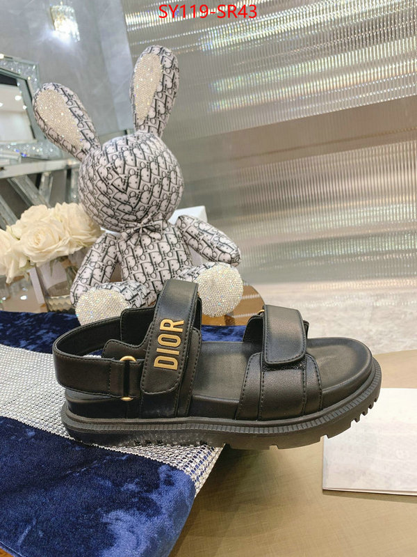 Women Shoes-Dior,is it ok to buy replica , ID: SR43,$: 119USD