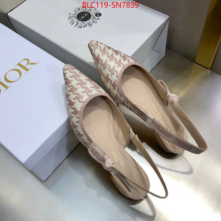 Women Shoes-Dior,how to start selling replica , ID: SN7839,$: 119USD