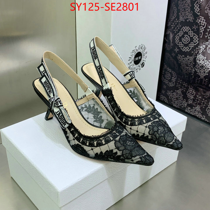 Women Shoes-Dior,the quality replica , ID: SE2801,$: 125USD