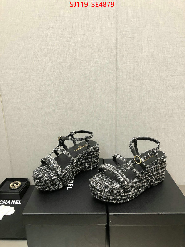 Women Shoes-Chanel,cheap replica designer , ID: SE4879,$: 119USD