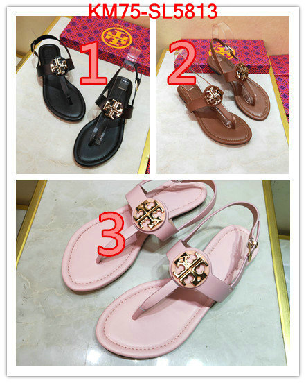 Women Shoes-Tory Burch,aaaaa+ replica , ID: SL5813,$: 75USD