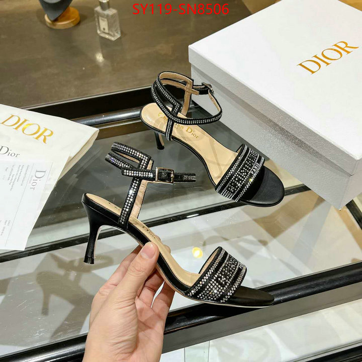 Women Shoes-Dior,knockoff , ID: SN8506,$: 119USD