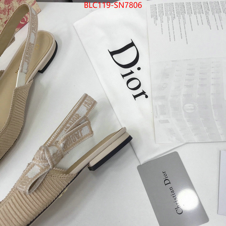 Women Shoes-Dior,how to find replica shop , ID: SN7806,$: 119USD