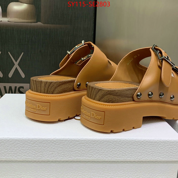 Women Shoes-Dior,wholesale , ID: SE2803,$: 115USD