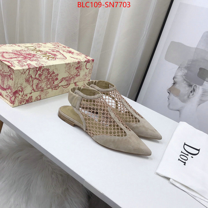 Women Shoes-Dior,what are the best replica , ID: SN7703,$: 109USD