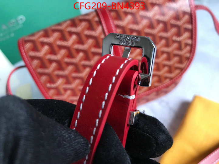 Goyard Bags(TOP)-Diagonal-,ID: BN4393,$: 209USD