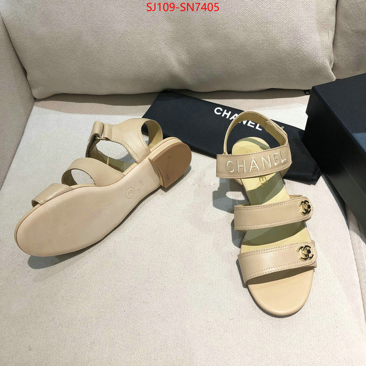 Women Shoes-Chanel,fake cheap best online , ID: SN7405,$: 109USD