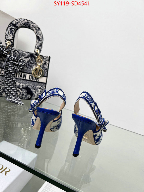 Women Shoes-Dior,most desired , ID: SD4541,$: 119USD