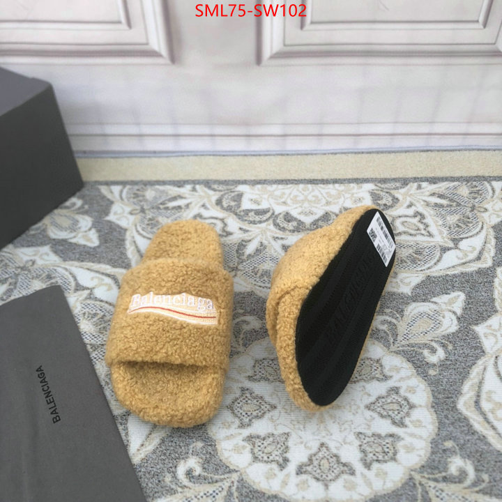 Men Shoes-Balenciaga,cheap , ID: SW102,$: 75USD