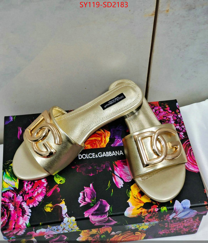 Women Shoes-DG,can you buy replica , ID: SD2183,$: 119USD