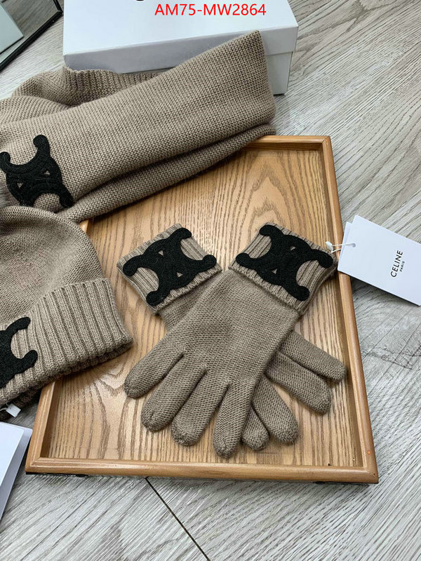 Gloves-CELINE,from china , ID: MW2864,$: 75USD