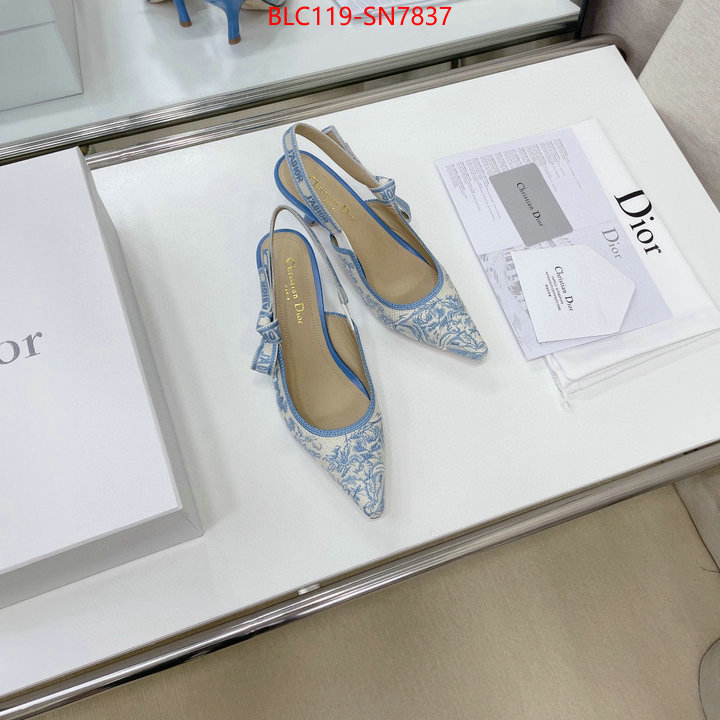 Women Shoes-Dior,replicas , ID: SN7837,$: 119USD