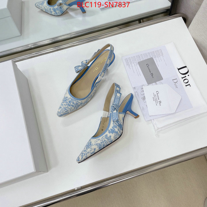 Women Shoes-Dior,replicas , ID: SN7837,$: 119USD