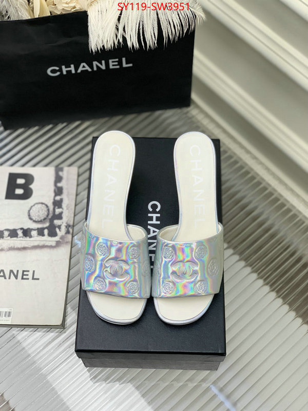 Women Shoes-Chanel,best site for replica , ID: SW3951,$: 119USD