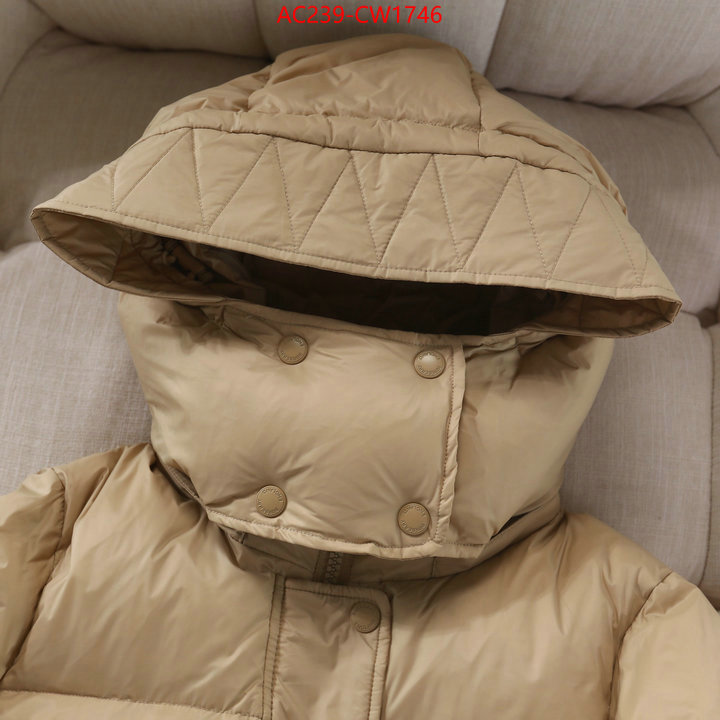 Down jacket Women-Burberry,where to buy , ID: CW1746,$: 239USD