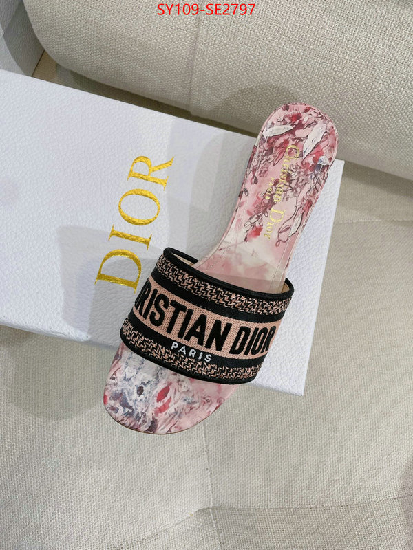 Women Shoes-Dior,shop the best high authentic quality replica , ID: SE2797,$: 109USD