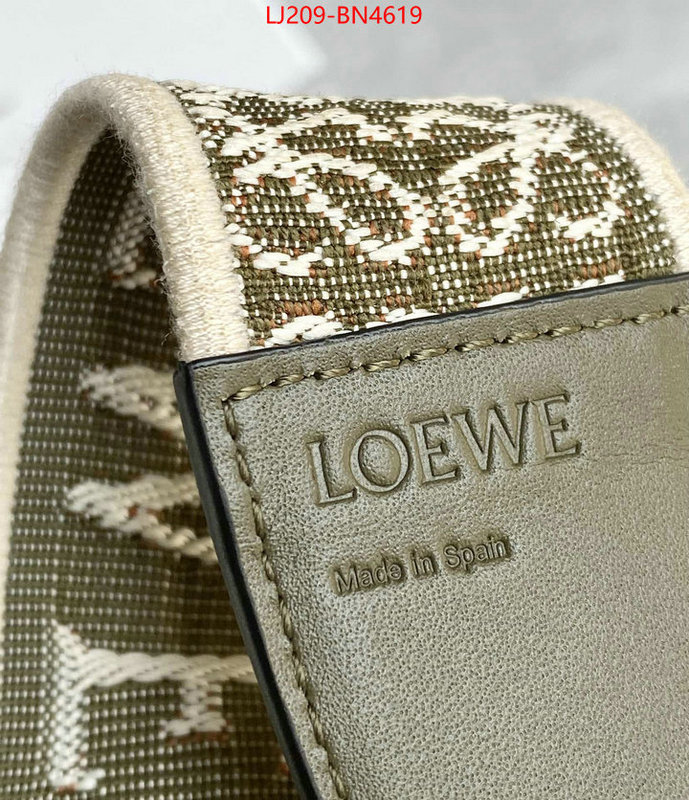 Loewe Bags(TOP)-Diagonal-,replica 1:1 high quality ,ID: BN4619,$: 209USD