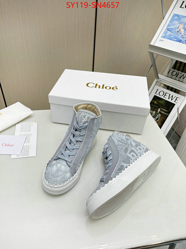 Women Shoes-Chloe,designer fake , ID: SN4657,$: 119USD