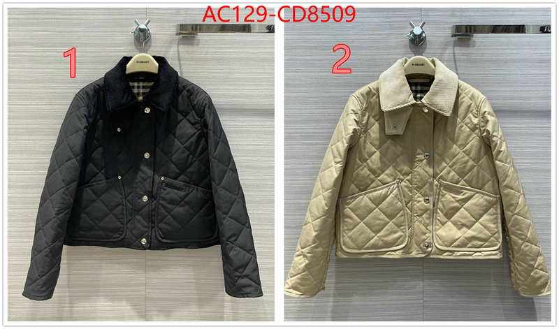 Down jacket Women-Burberry,high-end designer , ID: CD8509,$: 129USD