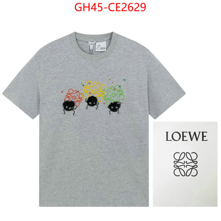 Clothing-Loewe,is it illegal to buy dupe , ID: CE2629,$: 45USD