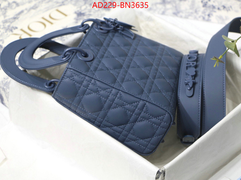Dior Bags(TOP)-Lady-,ID: BN3635,$: 229USD