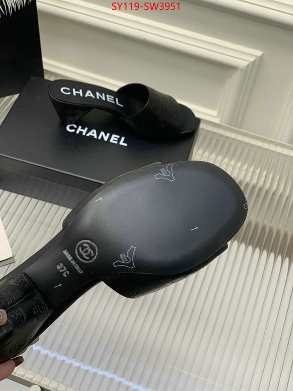 Women Shoes-Chanel,best site for replica , ID: SW3951,$: 119USD