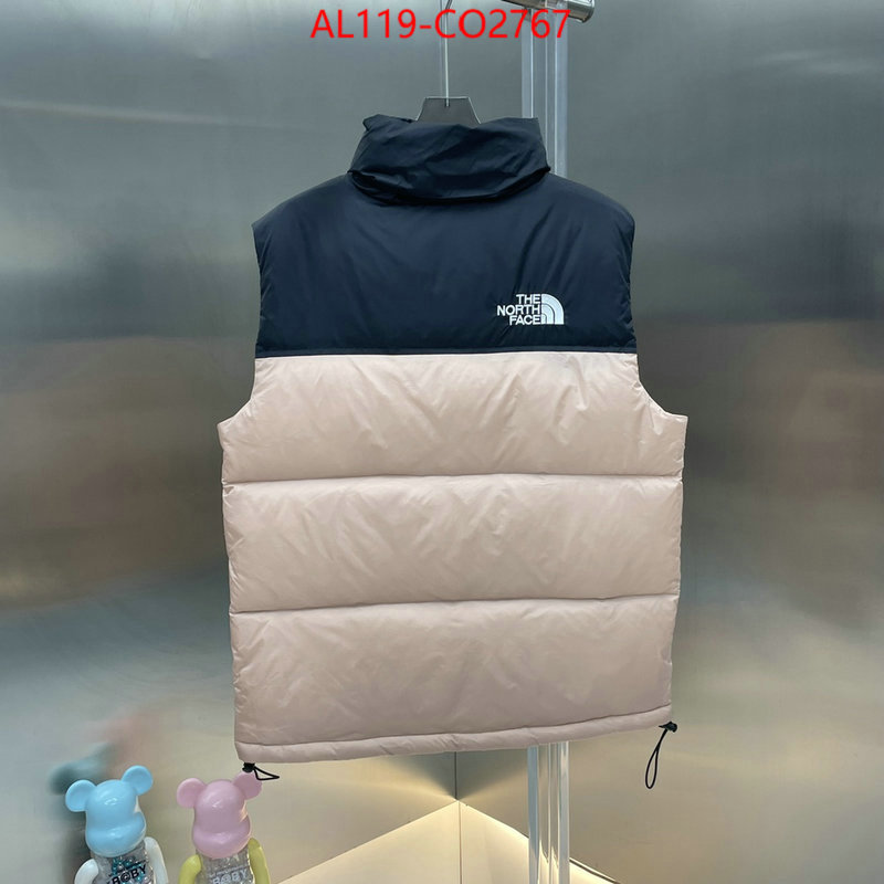 Down jacket Men-The North Face,designer 1:1 replica , ID: CO2767,$: 119USD