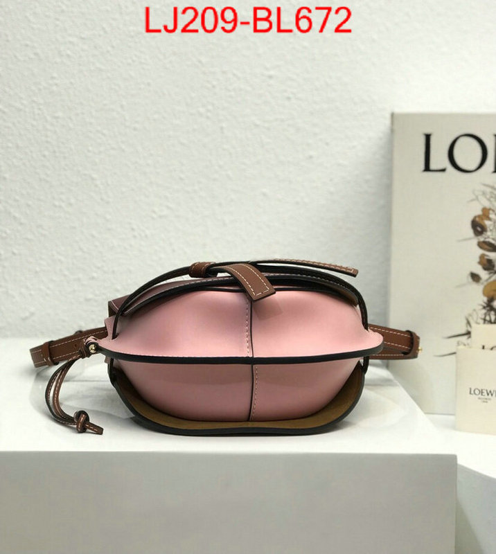 Loewe Bags(TOP)-Diagonal-,the best ,ID: BL672,$:209USD